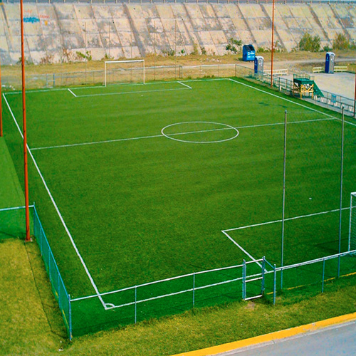 Pasto para Soccer
